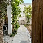 L'asfodelo *